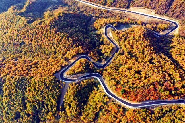 Autumn leaves bring tourists to Sichuan