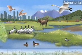 Restoration projects boost wildlife protection