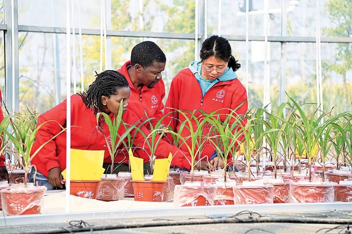 Overseas students dig in to learn modern agricultural techniques