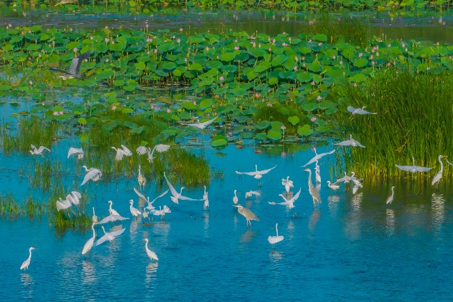 Conference focuses on wetlands