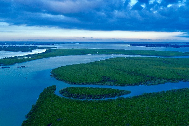 Wetland preservation: China in action