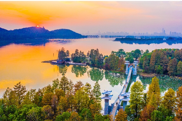 COP14 calls for joint efforts on wetland protection