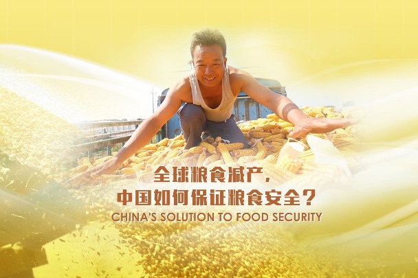 China's solution to food security