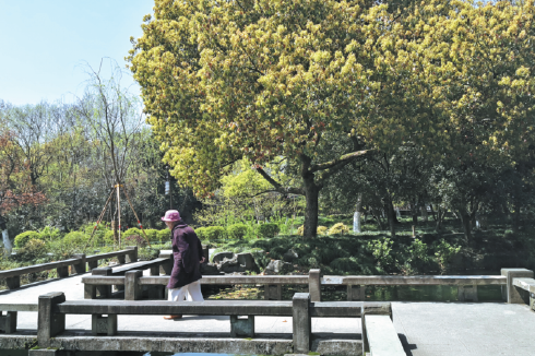 Retirees in focus as new growth driver of tourism