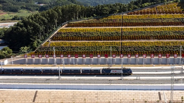 1st China-Laos Railway freight train from Kunming arrives in Vientiane