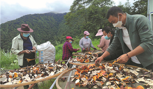Congress report inspires people in rural Tibet