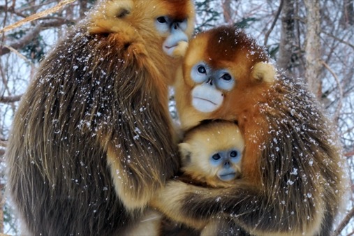 Viewing nature at its best