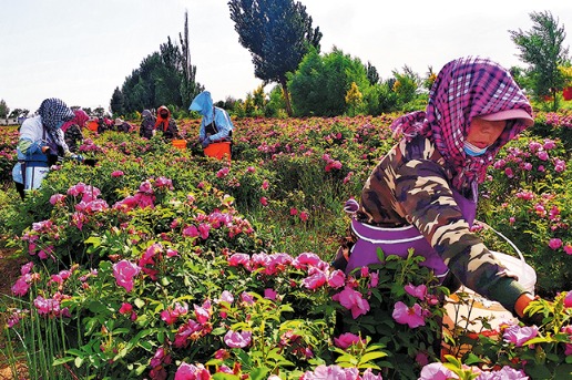 New-type tourism spurs village development