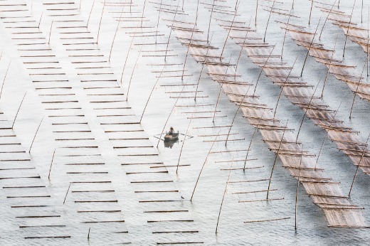 A sea of cages and nets