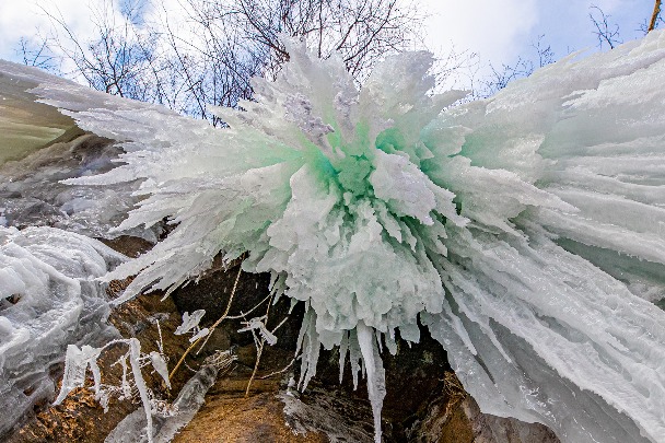 Winter wonderland attracts tourists, photographers alike
