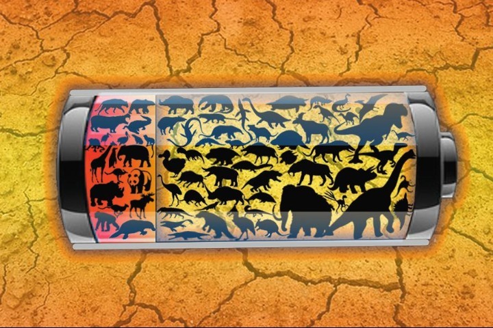 Danger of extinction