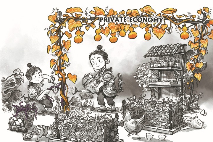 Private sector grows in overall importance