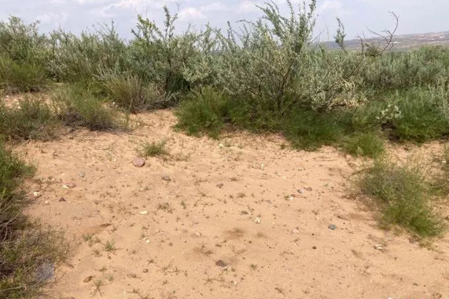 99 Paleolithic sites newly discovered in Ordos