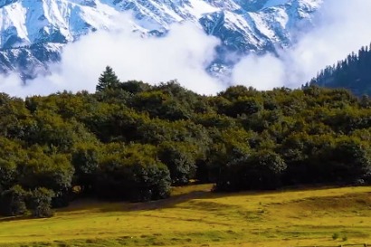 Video: Nyingchi features charming scenery