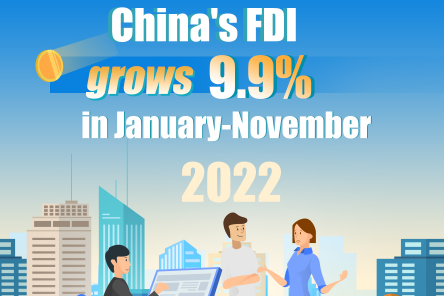 China's FDI grows 9.9% in January-November