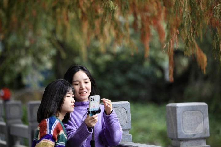 Red trees draw appreciative tourists in Guangzhou