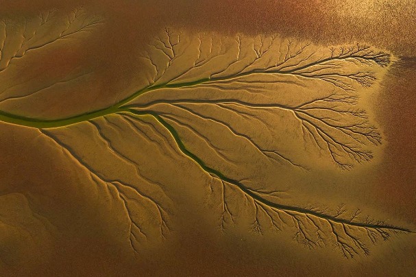 Yellow River estuary showcases enchanting views