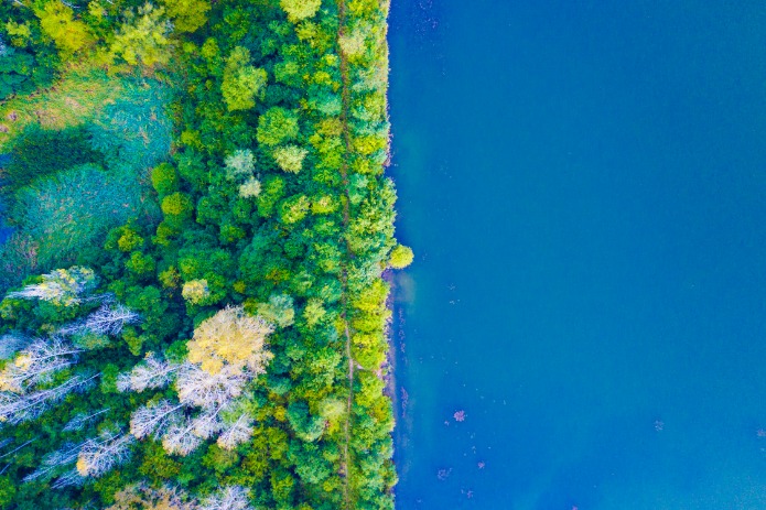 Ziwuling, a well-preserved natural forest on the Loess Plateau