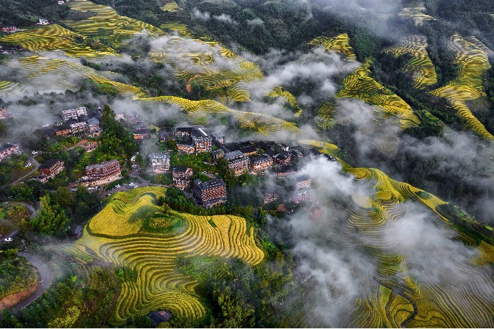 Longji rice terraces from above