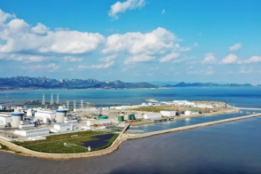 Shandong promotes green pilot zone