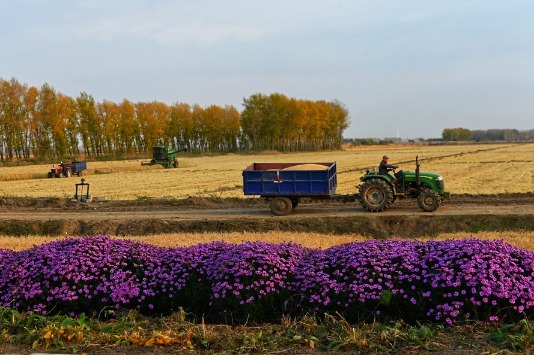Top 10 Chinese agricultural enterprises