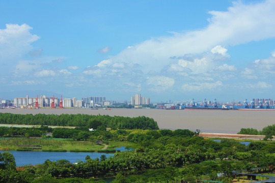 Nansha government establishes incentives for 'going global'