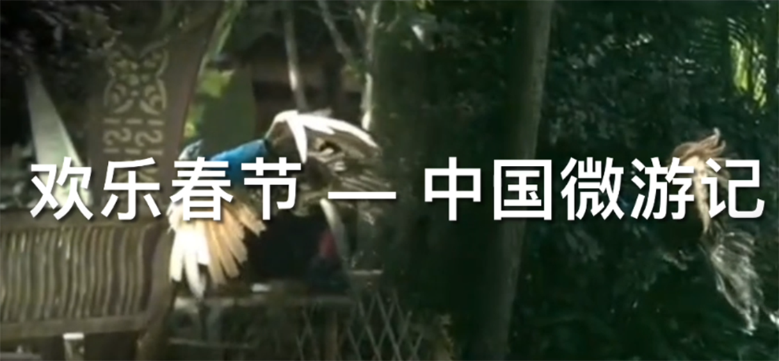 Notes for micro travelling in China