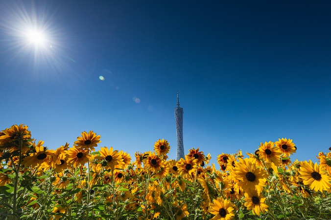 Economic rebound expected to gain speed