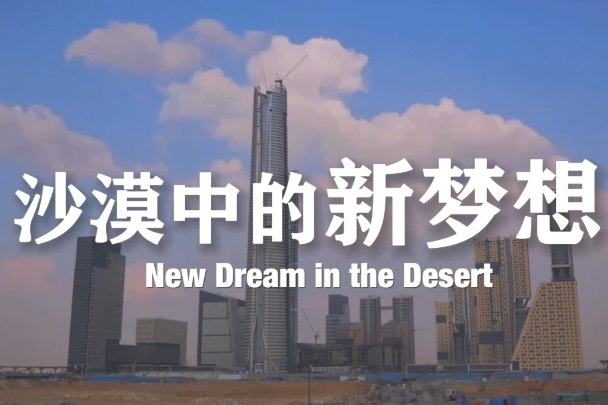 China helps build the 'Egyptian Dream'