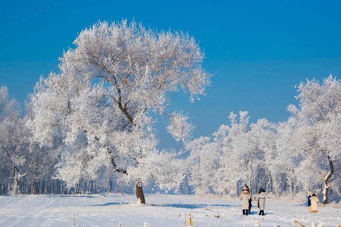 Rime scenery at Wusong Island intoxicates visitors