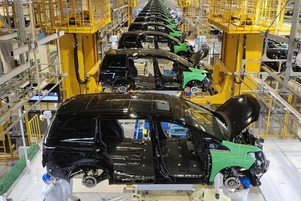 30 WEDZ firms on municipal list