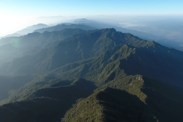 Recording the wildlife at Gaoligong Mountain