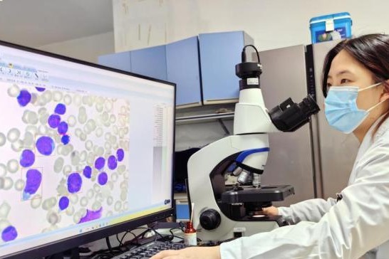 China Focus: AI diagnosis boosts accuracy in clinical blood cell testing