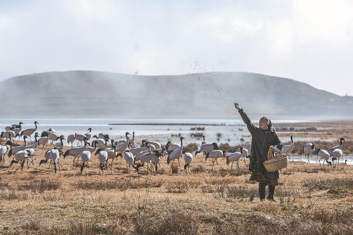 China announces addition of 18 wetlands of international importance