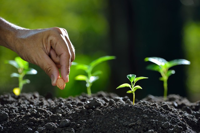 Domestic seed tech sees growing gains