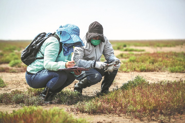 Role models raise environmental awareness