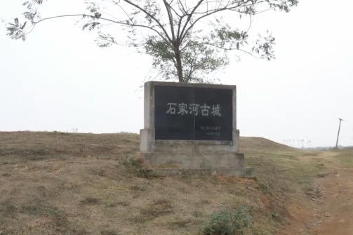 Ancient irrigation, flood control system unearthed in Central China