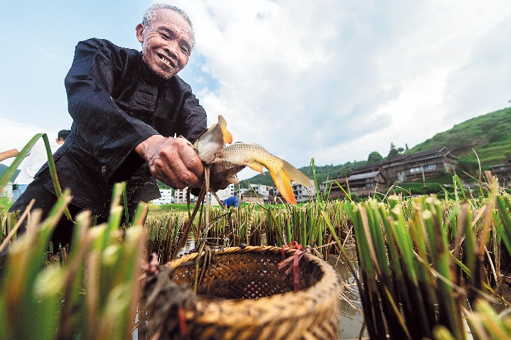 Nation plays leading role in evaluation of global agricultural heritage sites