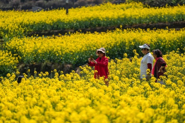 Healing tourism gains popularity in China