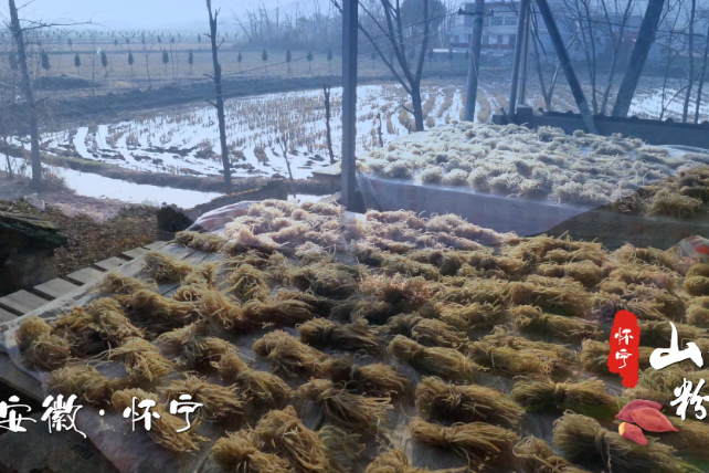 Yam vermicelli from Huaining county