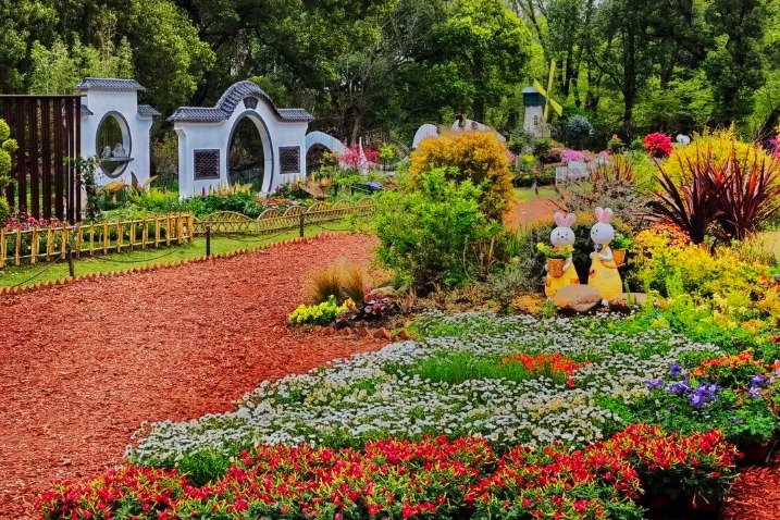 Shanghai Gongqing Forest Park will have a flower show