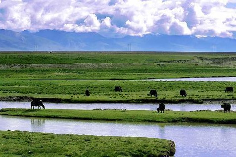 Archaeological work advances made in Tibet in 2022