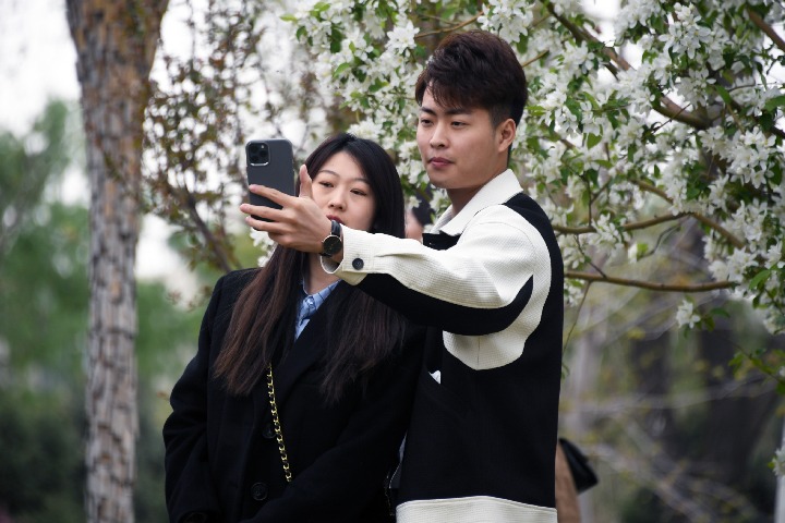 Tomb-Sweeping Day trips up sharply in 2023