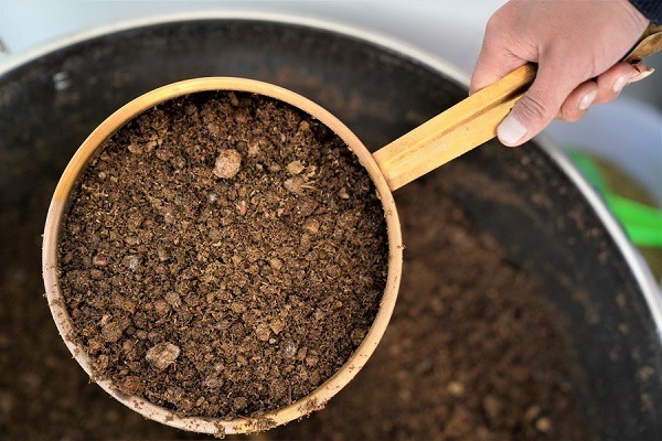 Tibetan medicine advanced over past decade