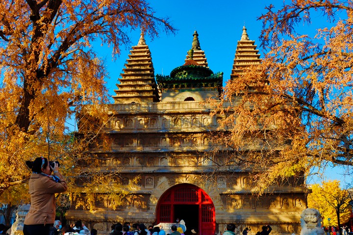 Beijing temple shrouded in golden ginkgo leaves in early winter