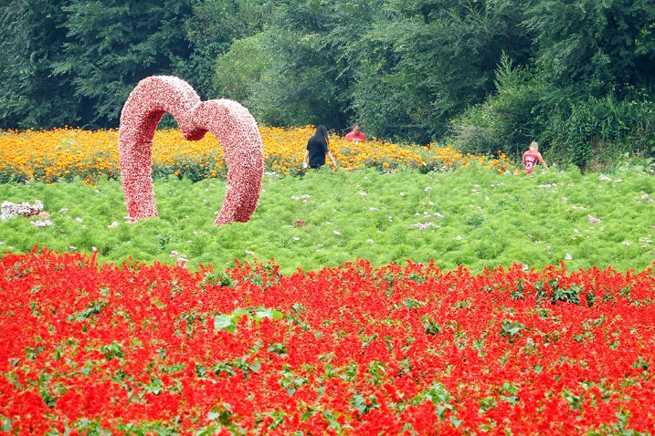Four Seasons Flower Sea in Beijing looks picturesque