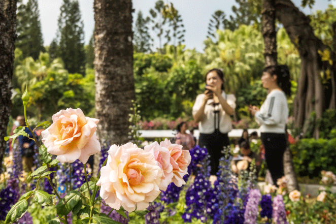 China launches campaign to boost consumption in cultural, tourism sectors