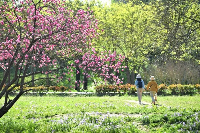Exploring the western part of the Old Summer Palace in Beijing