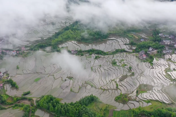 Terrace fields in Anhui shrouded by sea of clouds