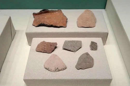 Guangdong exhibit features local archaeological finds of 2022